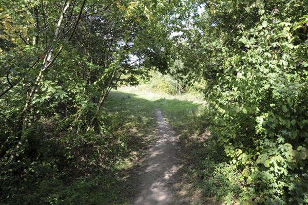 Stave Hill Ecological Park (01/05/2019)