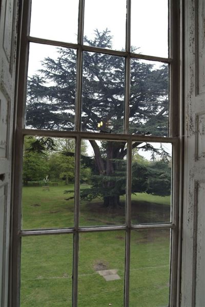 Forty Hall (01/05/2019)