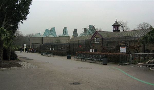 London Zoo (01/05/2019)