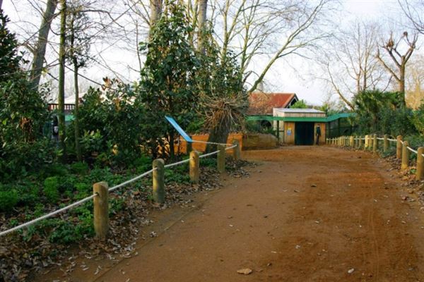 London Zoo (01/05/2019)
