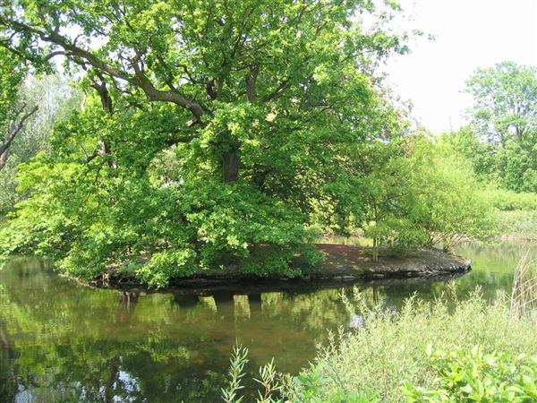 Crystal Palace Park (01/05/2019)