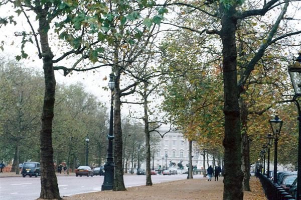 Buckingham Palace area (01/05/2019)