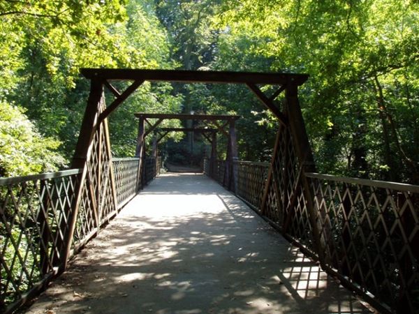 Sydenham Hill Wood (01/05/2019)