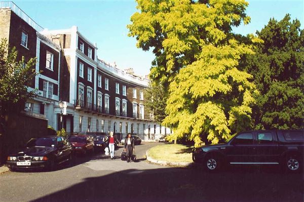 Crescent Grove (01/05/2019)