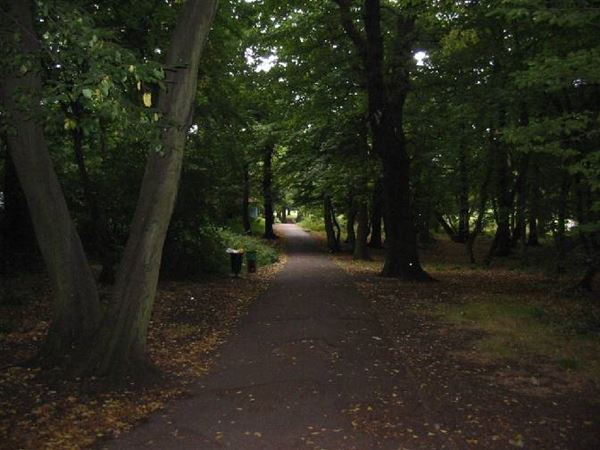 Cherry Tree Wood (01/05/2019)