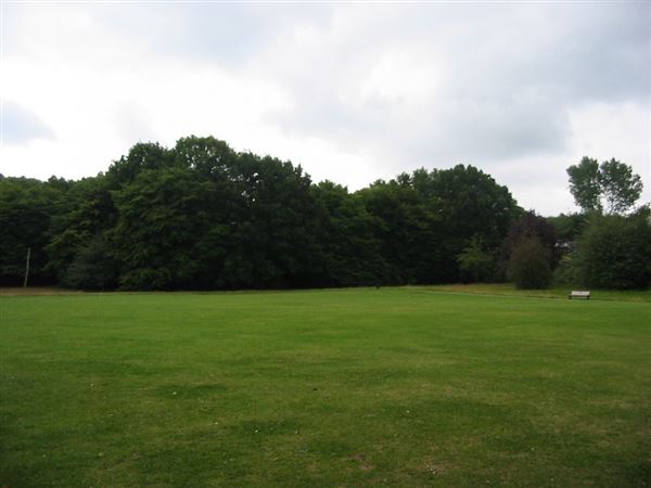 Cherry Tree Wood (01/05/2019)