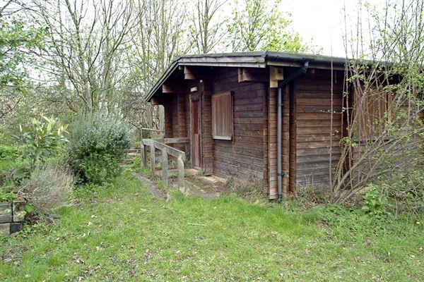 Railway Fields Nature Reserve (01/05/2019)