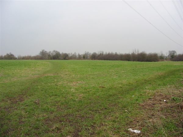 King George's Playing Fields (01/05/2019)