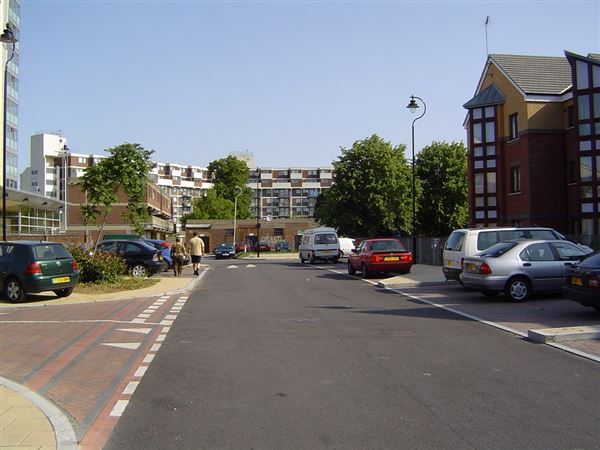 Tiger Way (01/05/2019)