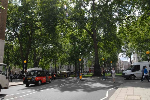 Bruton Street (01/05/2019)