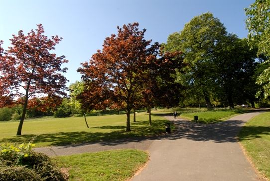 Springfield Park (01/05/2019)