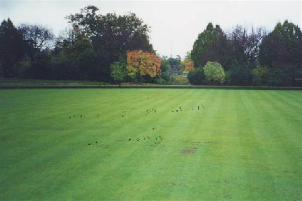 Norwood Grove Bowling Club (01/05/2019)