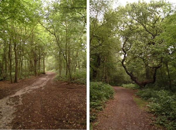 Petts Wood Parks (01/05/2019)