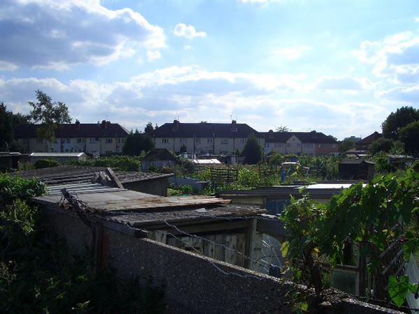 White Hart Lane Allotments (01/05/2019)