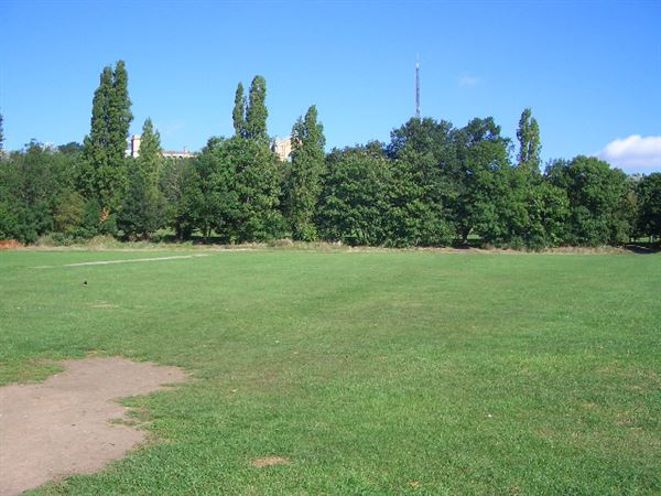 Alexandra Park (01/05/2019)