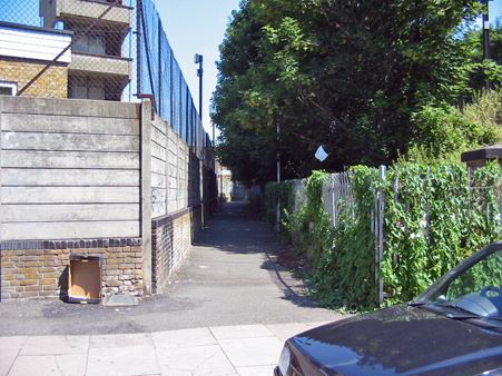 Steele Road Alley (01/05/2019)