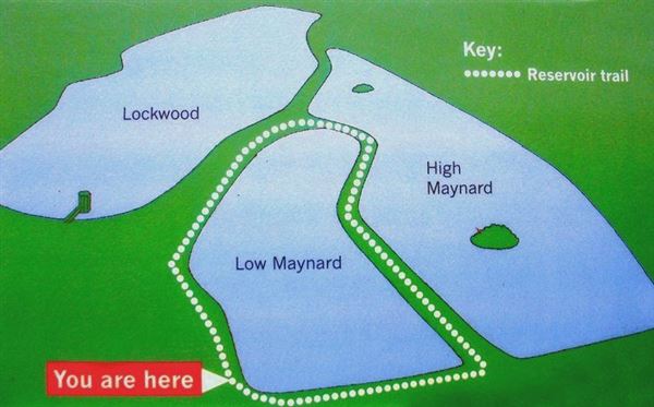 Lockwood Reservoir (01/05/2019)
