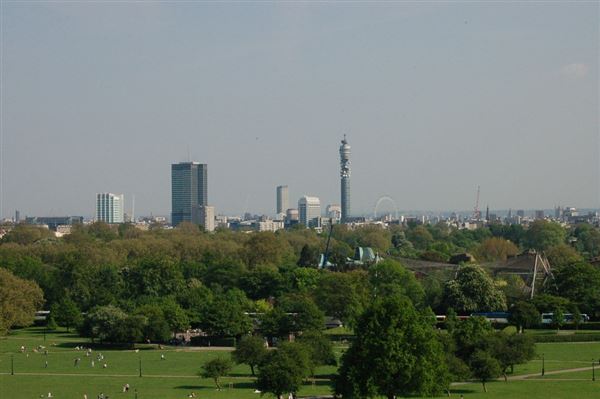 Primrose Hill (01/05/2019)