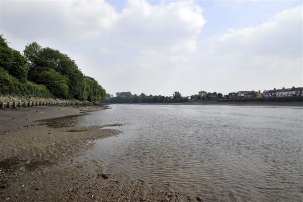 Barnes Railway Bridge (01/05/2019)