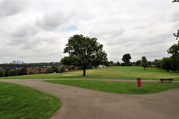 Blythe Hill Fields (01/05/2019)