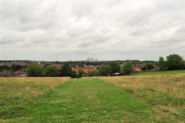 Blythe Hill Fields (01/05/2019)