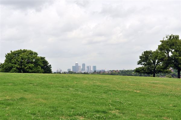 Blythe Hill Fields (01/05/2019)