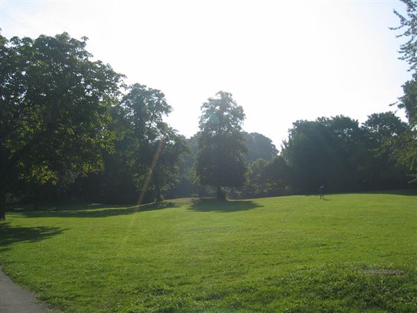 Westow Park (01/05/2019)