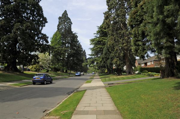 Canons Drive (01/05/2019)