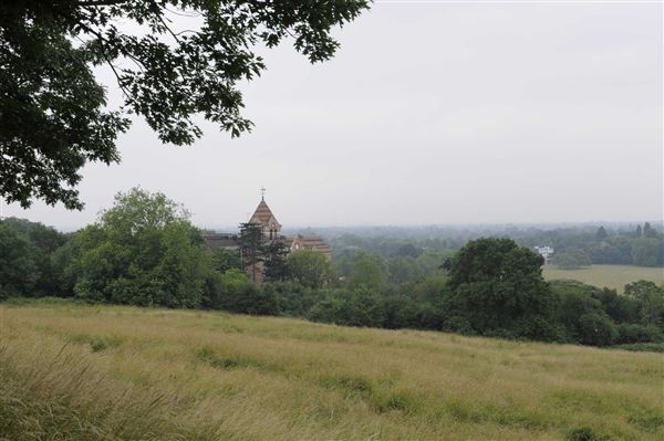 The Terrace Field (01/05/2019)