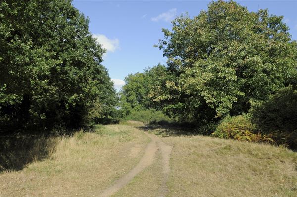 Barnes Common (01/05/2019)