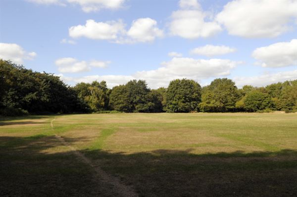 Barnes Common (01/05/2019)