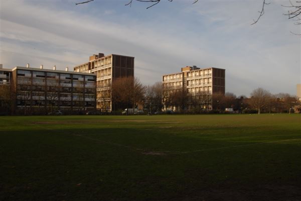 Weavers Fields (01/05/2019)