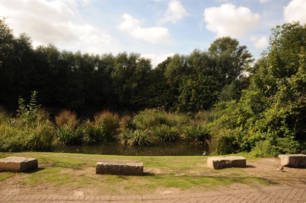 Russia Dock Woodland (01/05/2019)