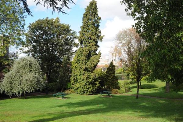 Park Hill Park (01/05/2019)