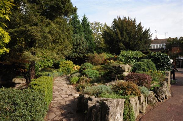 Coombe Wood (01/05/2019)