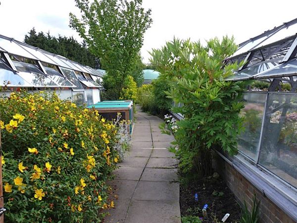 Wolves Lane Horticultural Nursery (01/05/2019)