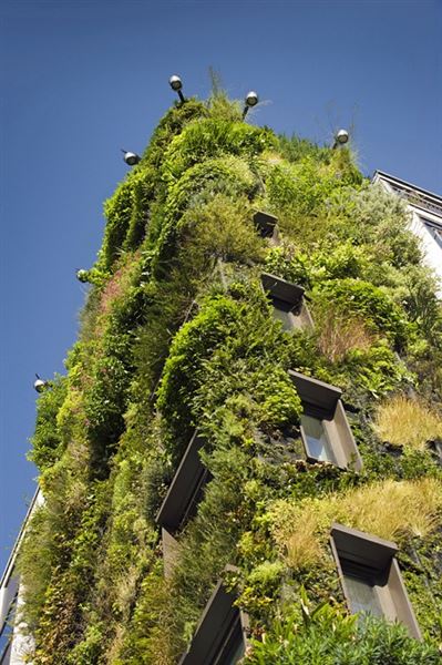 Athenaeum Hotel and Apartments, The (01/05/2019)