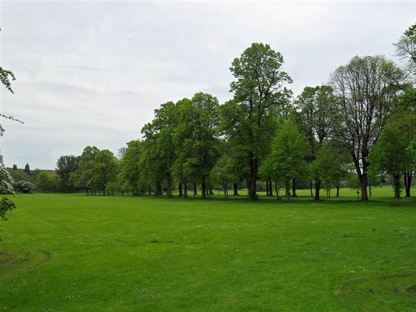Foots Cray Meadows (01/05/2019)