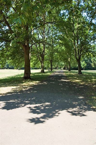 Beddington Park & The Grange (01/05/2019)
