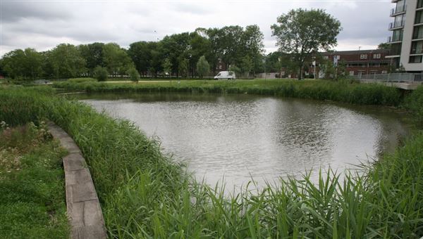 Heybourne Park (01/05/2018)