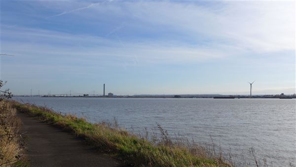 Rainham Marshes - Thames Side (20/04/2018)