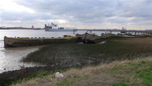 Rainham Marshes - Thames Side (20/04/2018)