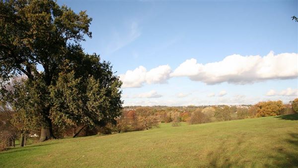 Sunny Hill Park (09/04/2018)