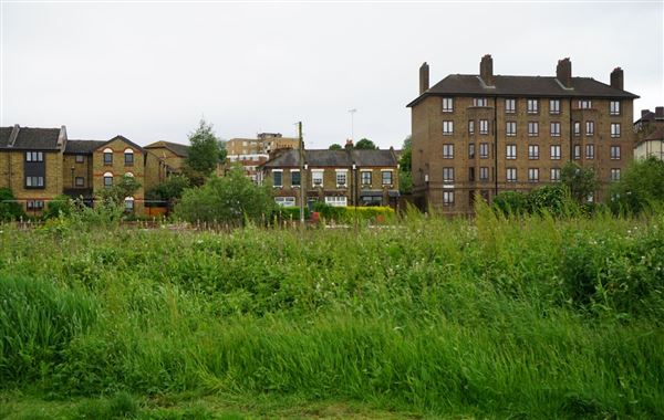 Walthamstow Marshes (30/04/2018)
