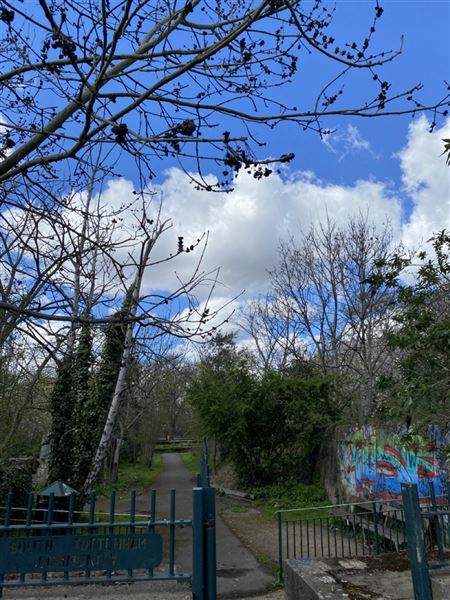 Markfield Park (07/04/2023 - Credits: Phil)