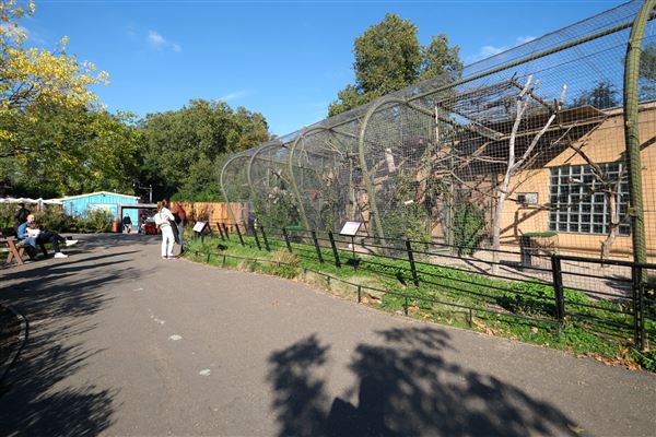 London Zoo (04/10/2024)