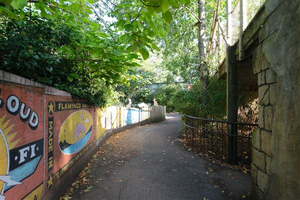London Zoo (04/10/2024)