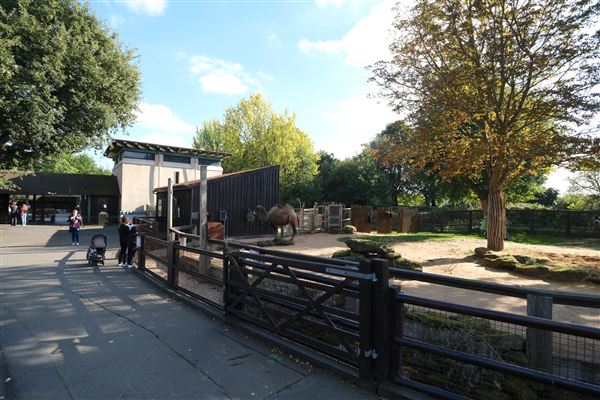 London Zoo (04/10/2024)