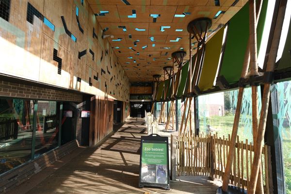 London Zoo (04/10/2024)