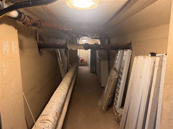 Barking Town Hall - Basement (17/01/2025)